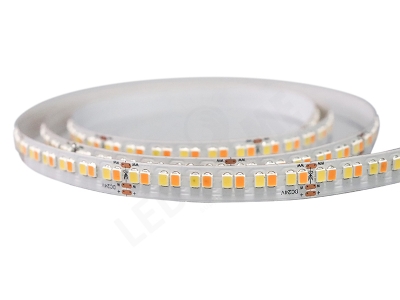 OSRAM 2835 240led CCT调色温灯带 (单蕊)