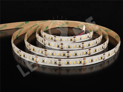 3014 204led/m strip 正发光