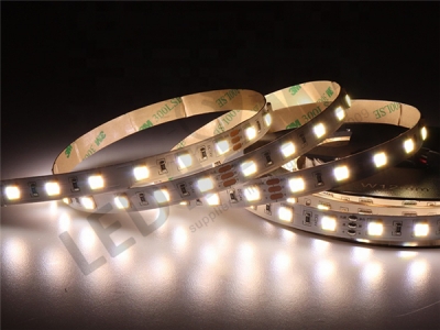 3838 60leds/m CCT strip